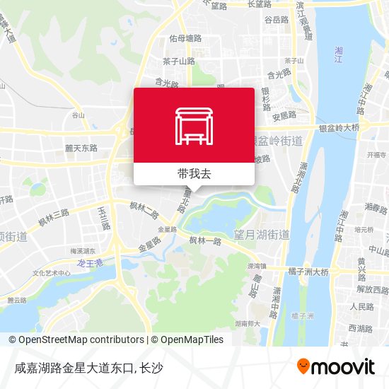 咸嘉湖路金星大道东口地图