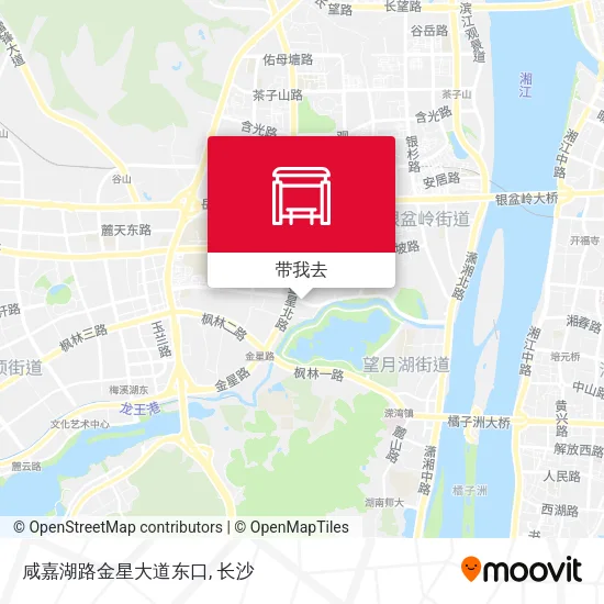 咸嘉湖路金星大道东口地图