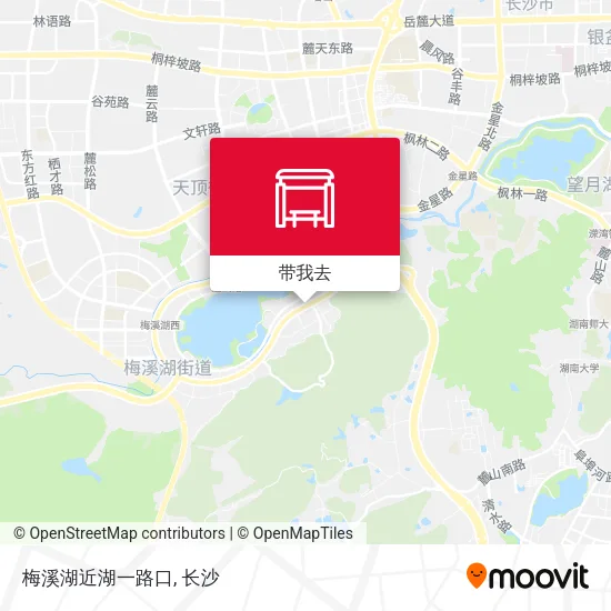 梅溪湖近湖一路口地图