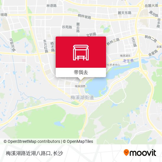 梅溪湖路近湖八路口地图