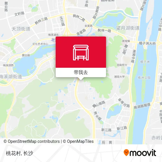 桃花村地图