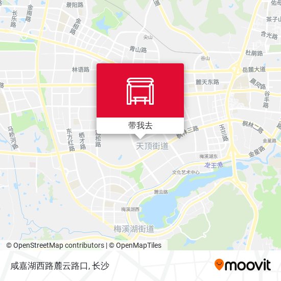 咸嘉湖西路麓云路口地图