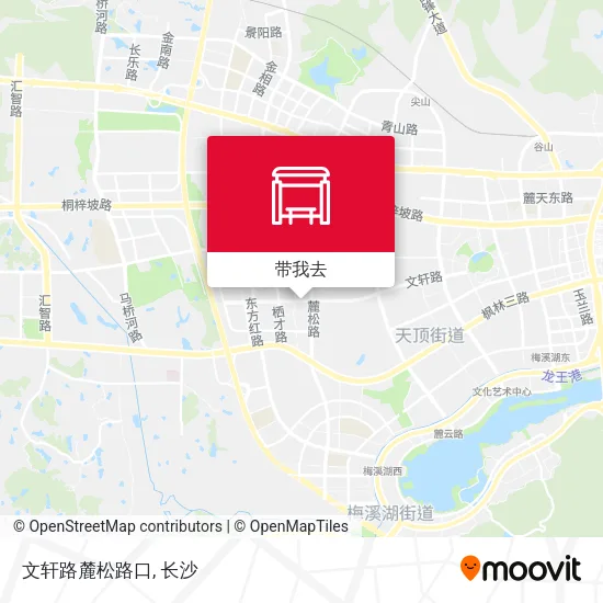文轩路麓松路口地图