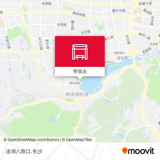 连湖八路口地图