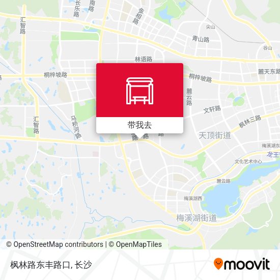 枫林路东丰路口地图