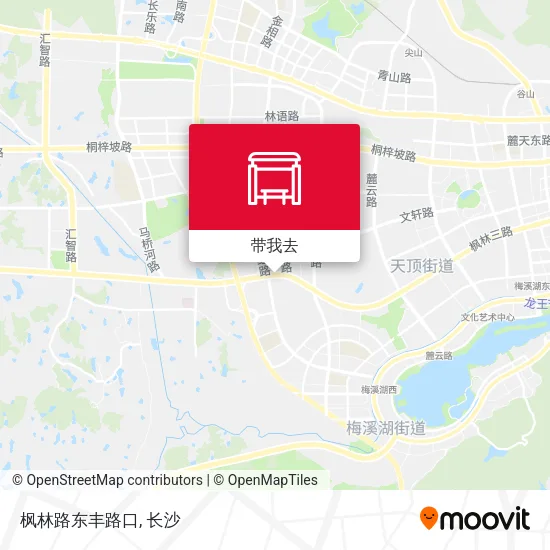 枫林路东丰路口地图
