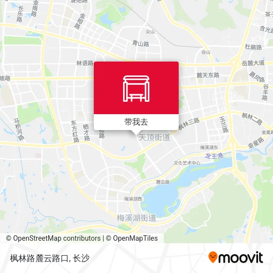 枫林路麓云路口地图