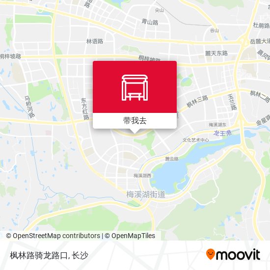 枫林路骑龙路口地图