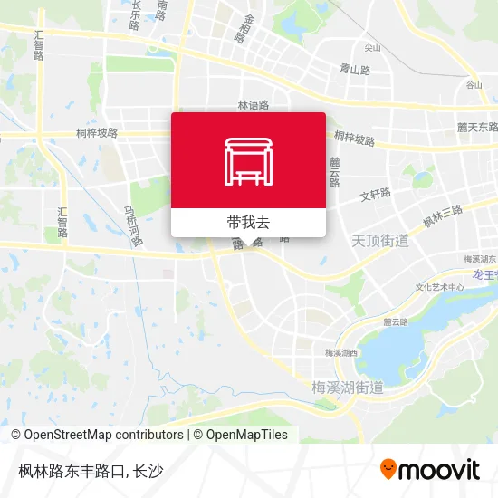 枫林路东丰路口地图