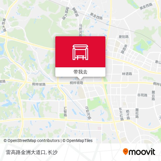 雷高路金洲大道口地图