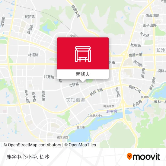 麓谷中心小学地图