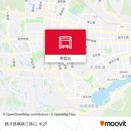 栖才路枫林三路口地图