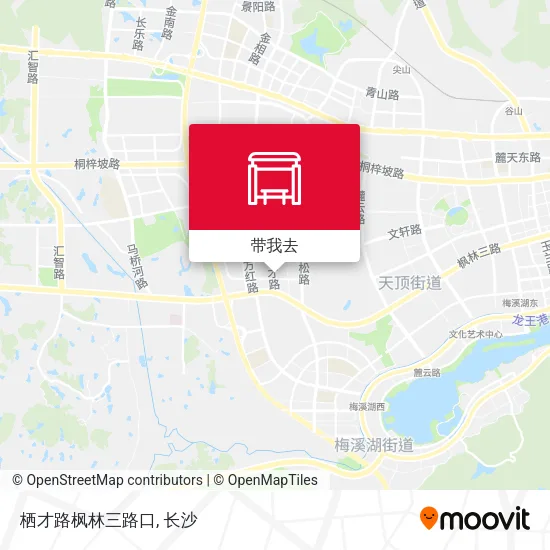 栖才路枫林三路口地图
