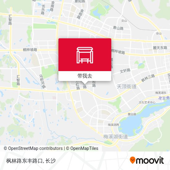 枫林路东丰路口地图