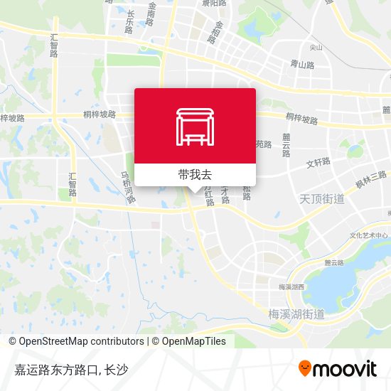嘉运路东方路口地图