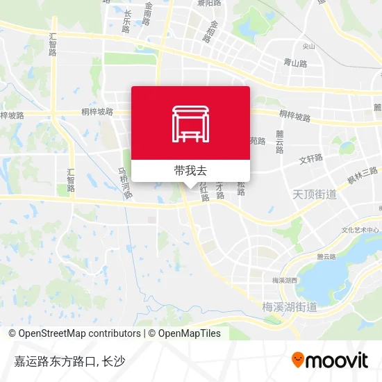 嘉运路东方路口地图