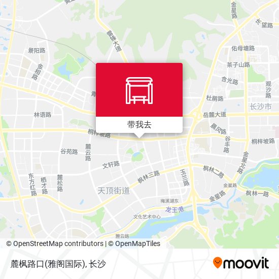 麓枫路口(雅阁国际)地图