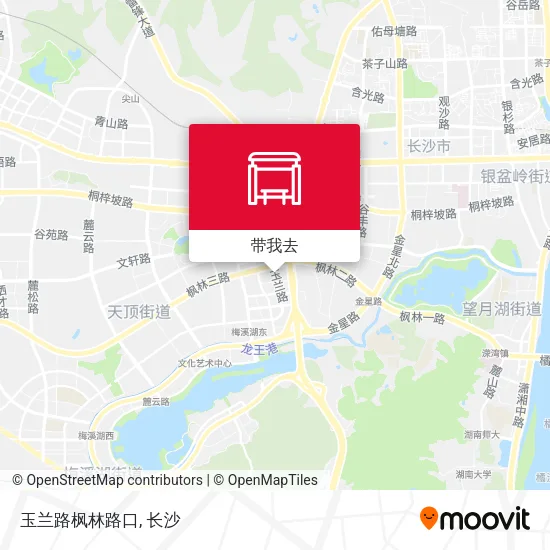 玉兰路枫林路口地图