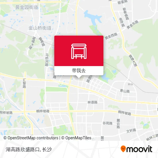 湖高路欣盛路口地图