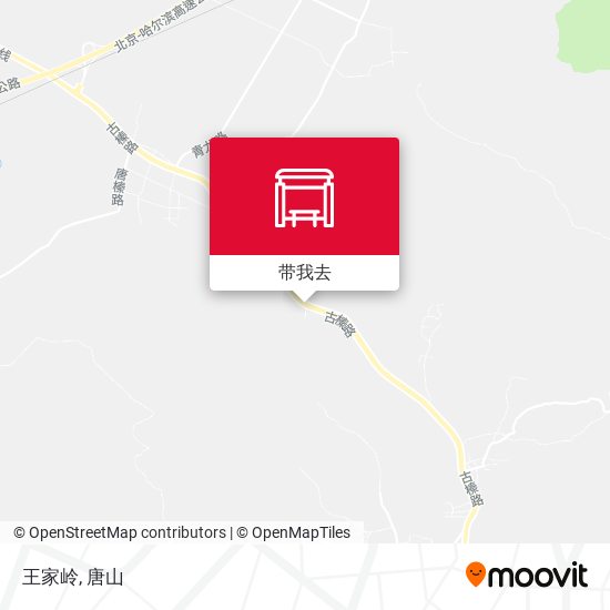 王家岭地图