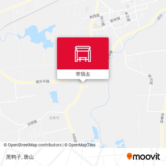 黑鸭子地图