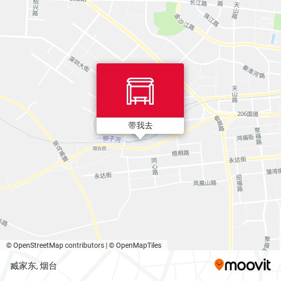 臧家东地图