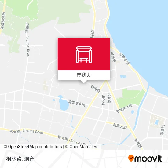 桐林路地图