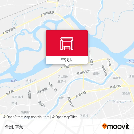 金洲地图