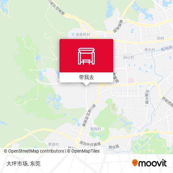 大坪市场地图