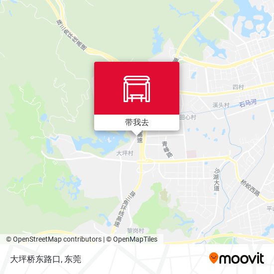 大坪桥东路口地图