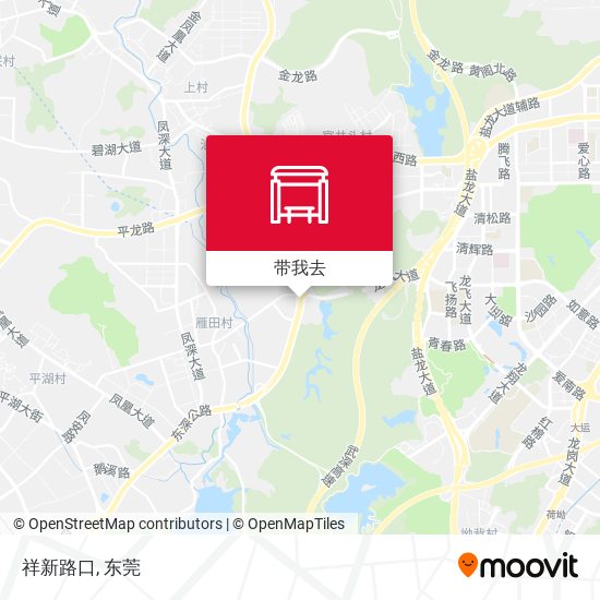 祥新路口地图