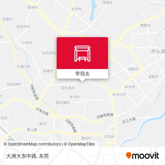 大洲大东中路地图