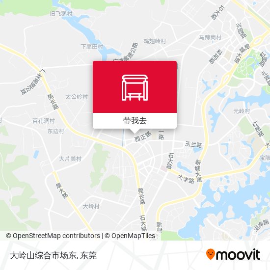 大岭山综合市场东地图