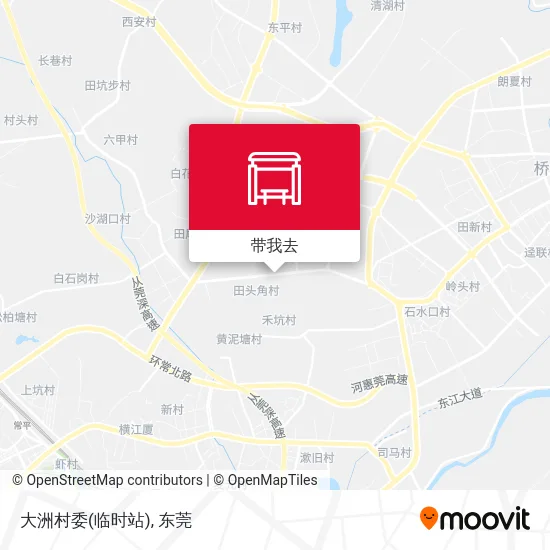大洲村委(临时站)地图