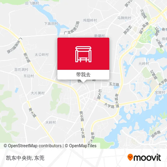 凯东中央街地图