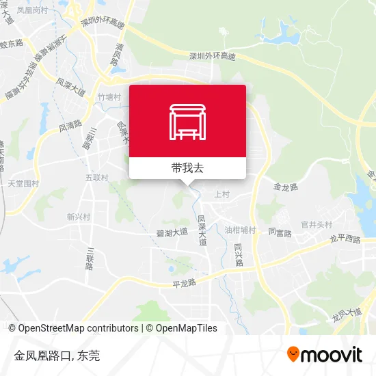 金凤凰路口地图