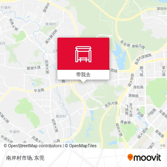 南岸村市场地图