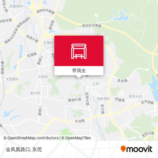 金凤凰路口地图