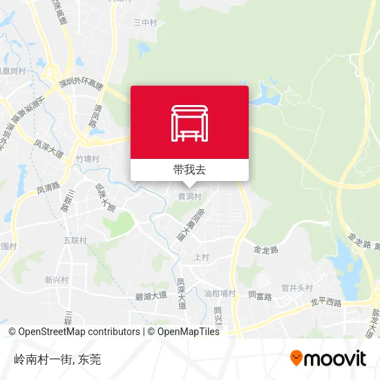 岭南村一街地图