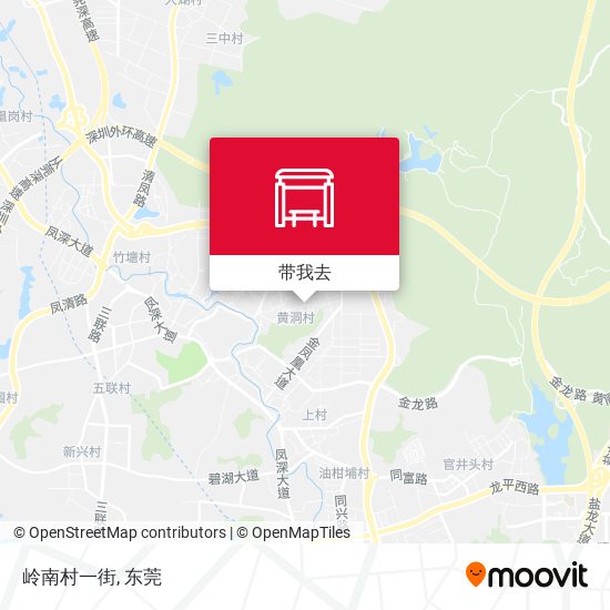 岭南村一街地图