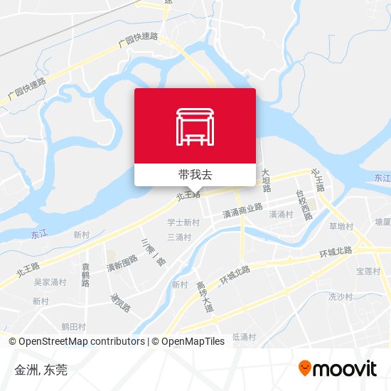 金洲地图