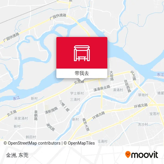 金洲地图