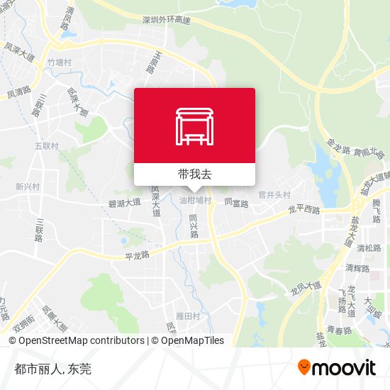 都市丽人地图