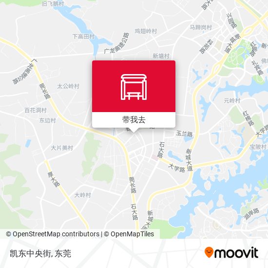 凯东中央街地图