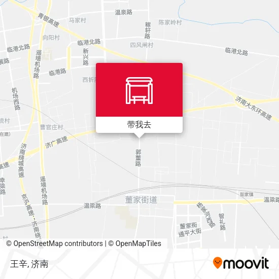 王辛地图