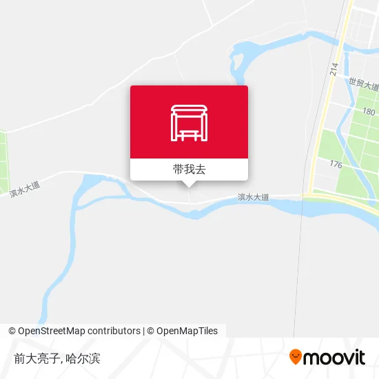 前大亮子地图