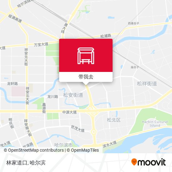林家道口地图