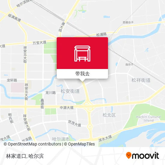 林家道口地图