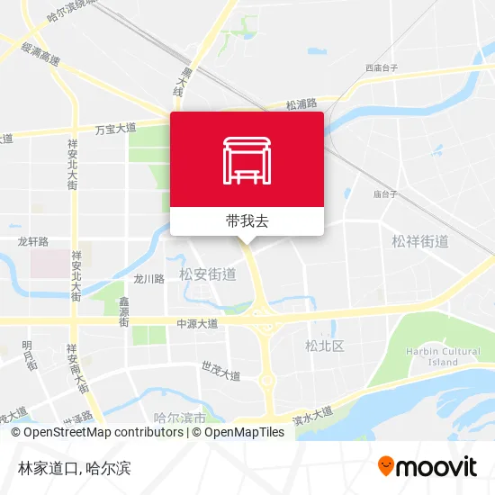 林家道口地图