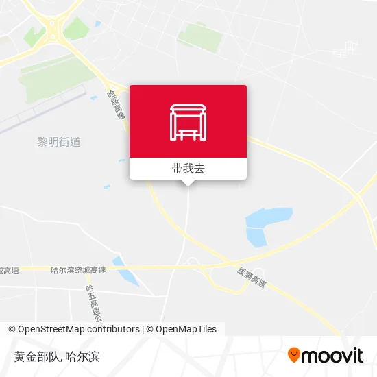 黄金部队地图